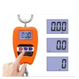 200kg Mini Crane Scale – Digital Hanging Weighing Scale